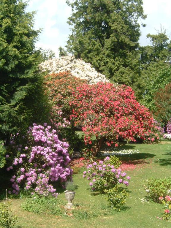 Bruce Castle Bed & Breakfast Brix Bagian luar foto