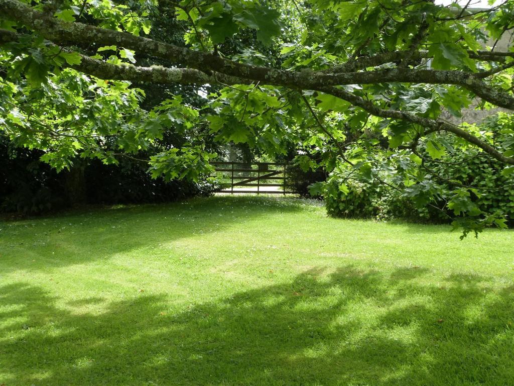 Bruce Castle Bed & Breakfast Brix Bagian luar foto